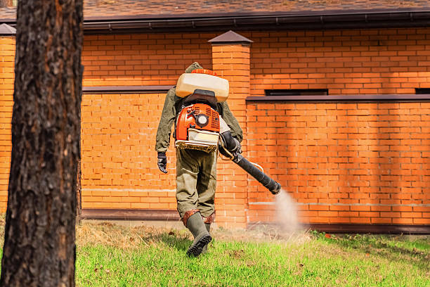 Trusted Cockroach Control service in Plattsburgh West, NY - Nex Pest Control